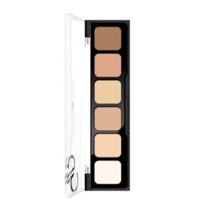 Correct & Conceal Palette van Golden Rose